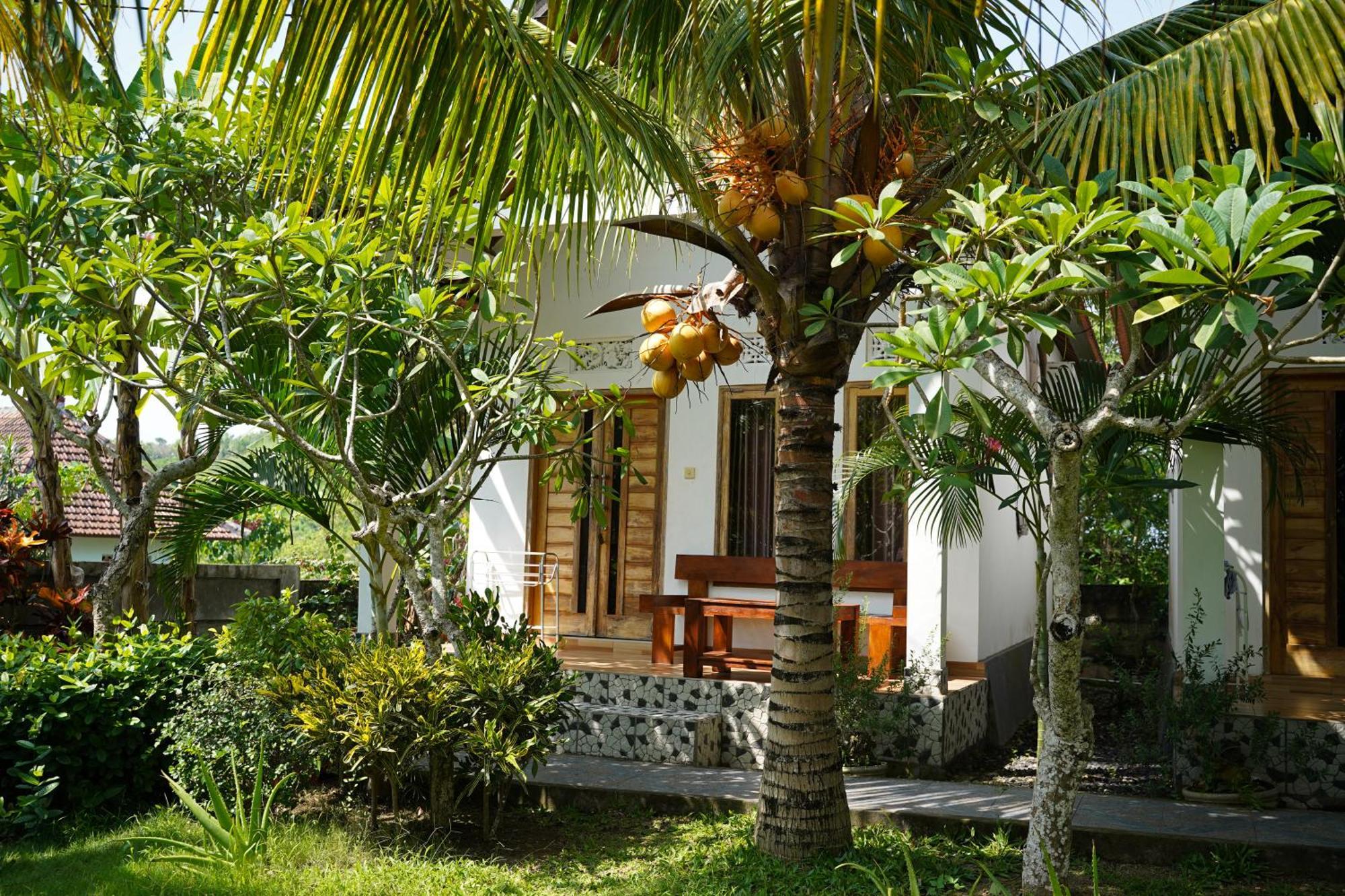 Wahyu Masari Homestay Sakti Dış mekan fotoğraf